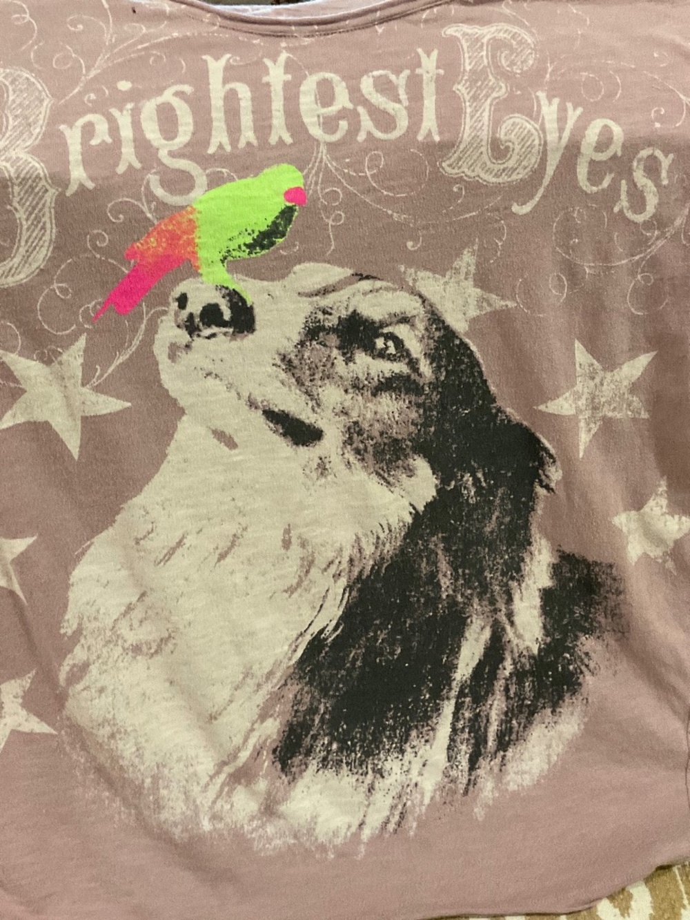 Magnolia Pearl long sleeve “Bright Eyes “ tee shirt